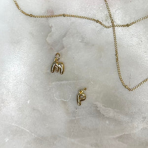Step 2: Sara Initial Charms